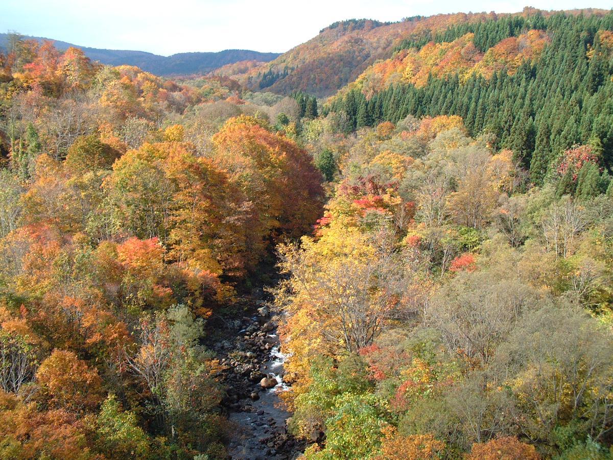 Chokai Sarukuraonsen Hotel Foresta Chokai Yurihonjo Экстерьер фото